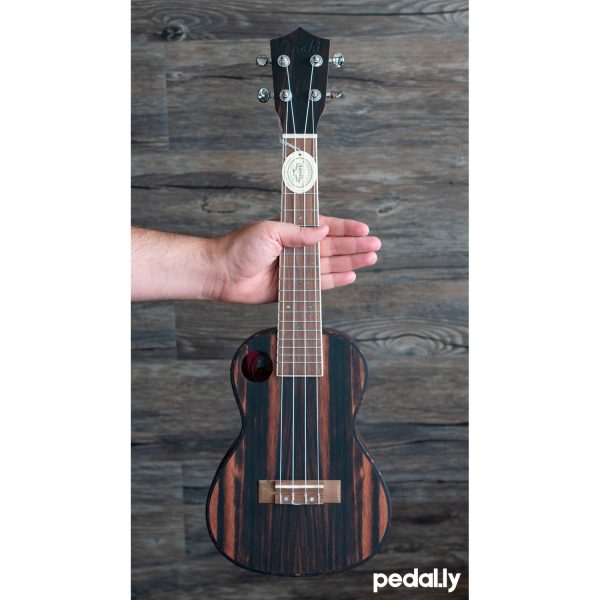 Amahi concert size ebony wood ukulele from Pedally