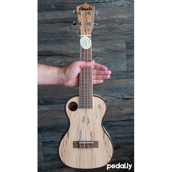 Amahi concert size spalted maple ukulele from Pedally