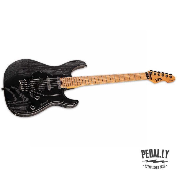 ESP LTD SN-1000FR Black Blast Electric Guitar from Pedally LSN1000FRMBLKBLAST front angle