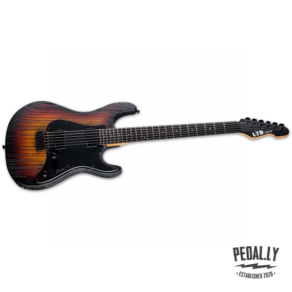 ESP LTD SN-1000HT Fire Blast Electric Guitar from Pedally LSN1000HTFIREBLAST front angle