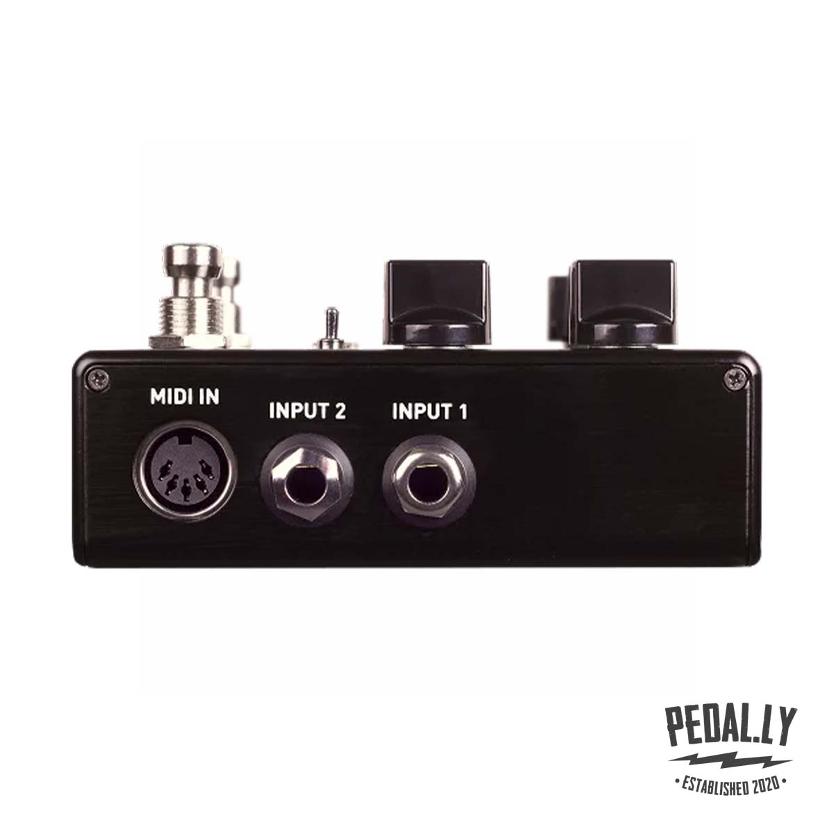 Source Audio Encounter Ambient Delay+Reverb Pedal from Pedally SA264 input jacks