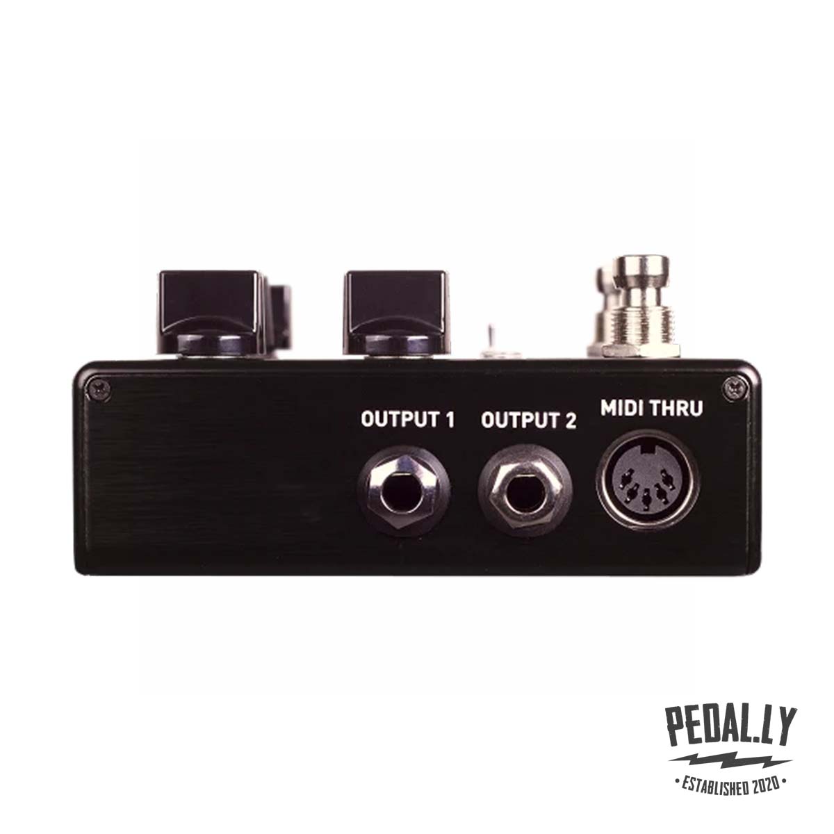 Source Audio Encounter Ambient Delay+Reverb Pedal from Pedally SA264 output jacks